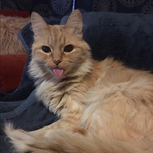 Meet your Posher, Danielle